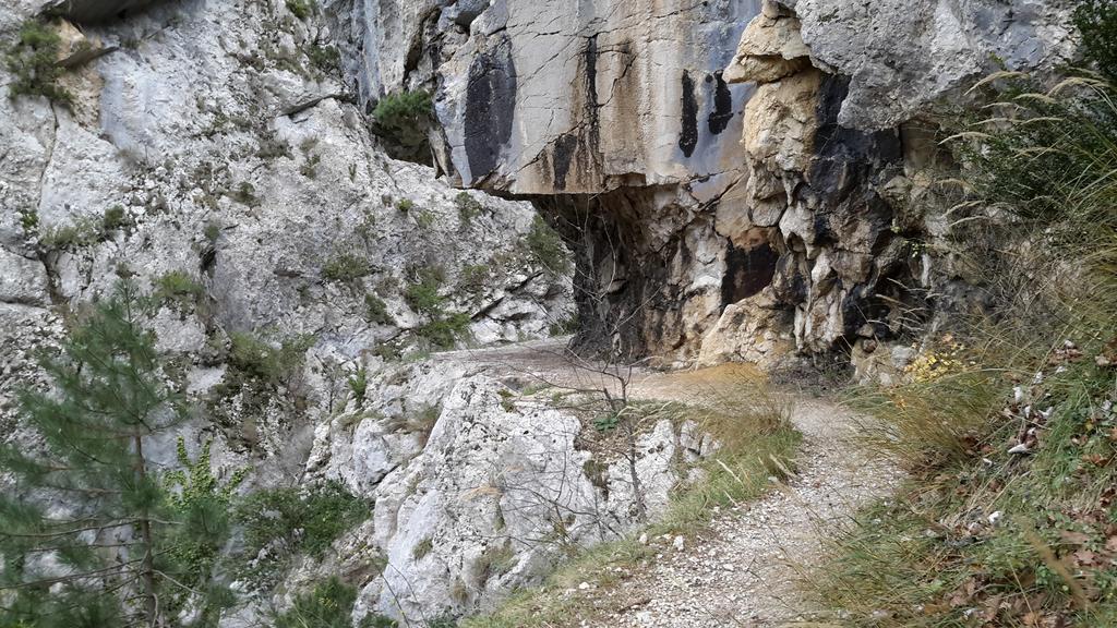 Les Cigales D'Estoublon Apartamento Quarto foto